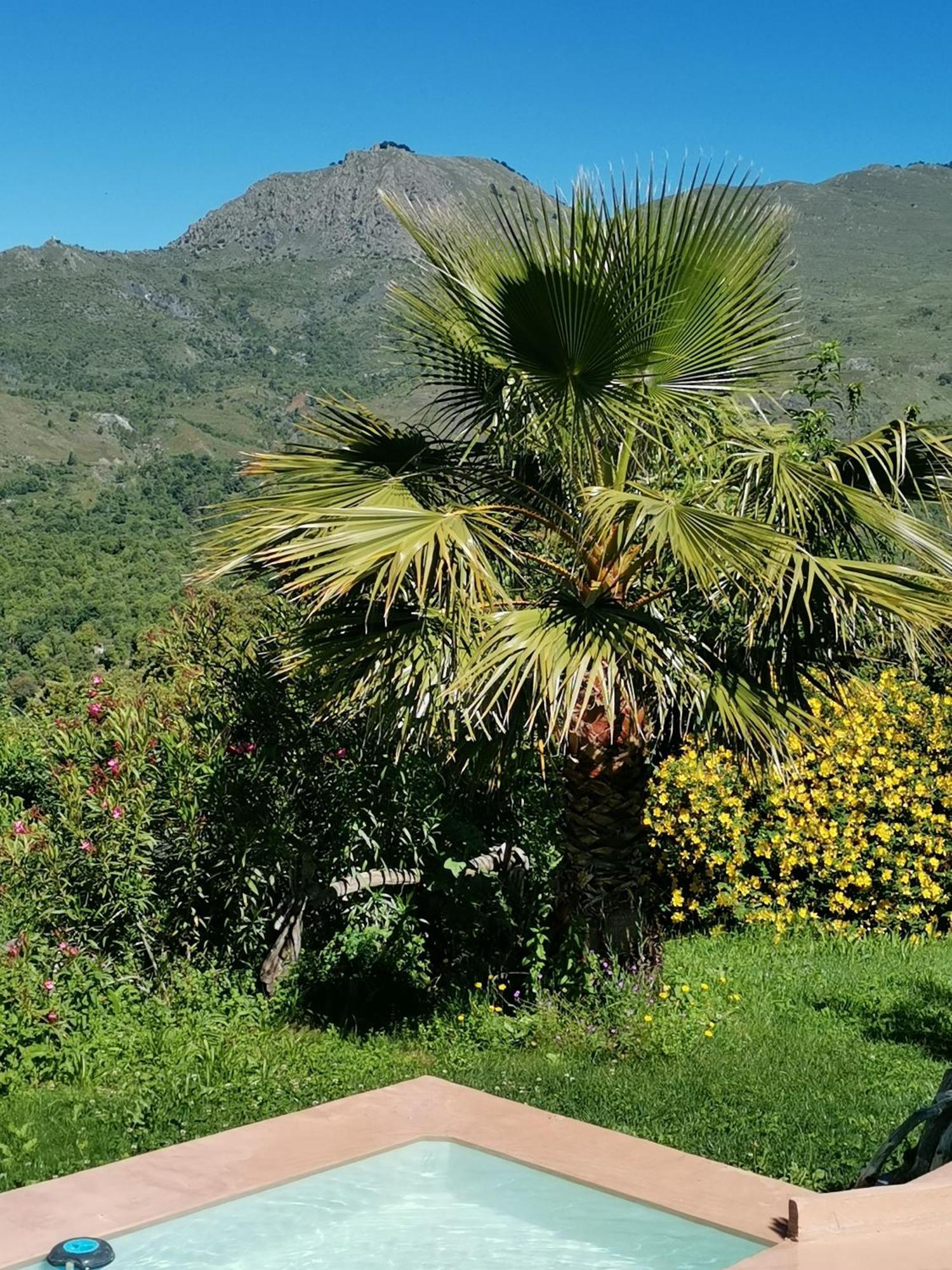 Chambre D'Hotes Couvent D'Alando Dış mekan fotoğraf